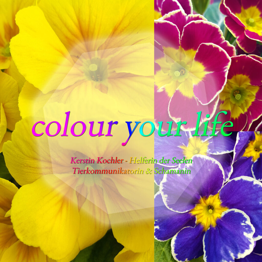 colour your life