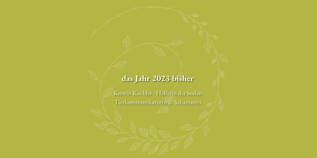 das Jahr 2023 bisher The Work Kerstin Kochler