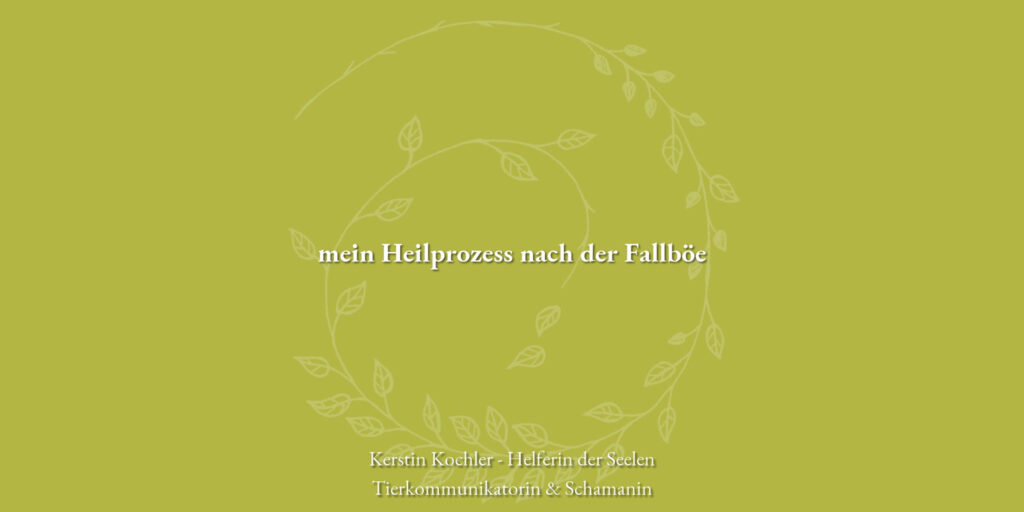 mein Heilprozess nach der Fallboee Kerstin Kochler