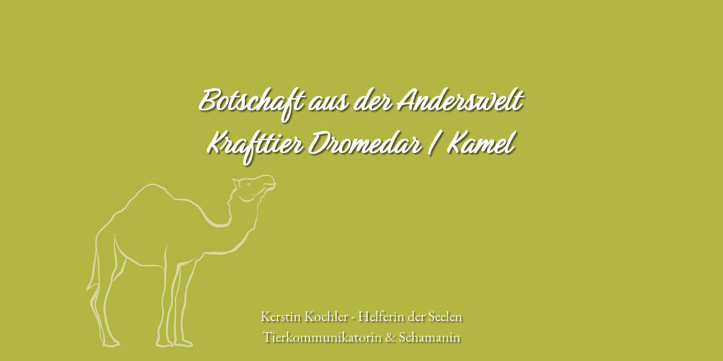 ~ Botschaft aus der Anderswelt - Krafttier Dromedar / Kamel ~ 1 Botschaft aus der Anderswelt Krafttier Dromedar Kamel Kerstin Kochler