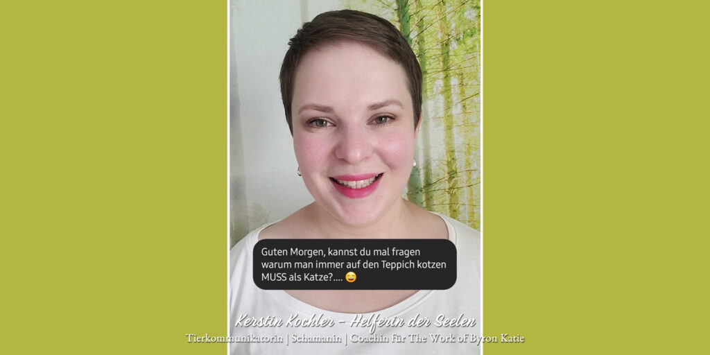 ~ Warum kotzen Katzen immer auf den Teppich? (Video) ~ 1 Warum kotzen Katzen immer auf den Teppich Kerstin Kochler