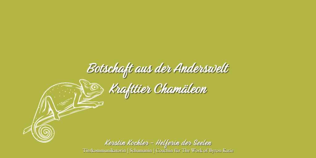 Botschaft aus der Anderswelt Krafttier Chamaeleon Kerstin Kochler